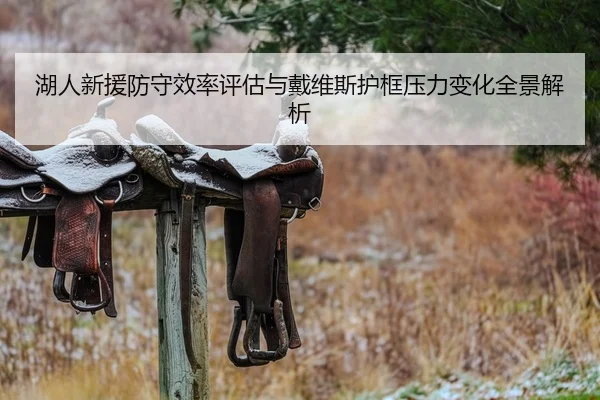 湖人新援防守效率评估与戴维斯护框压力变化全景解析