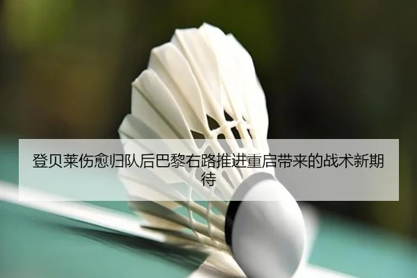 img_1783356564595_367_1_354.jpg